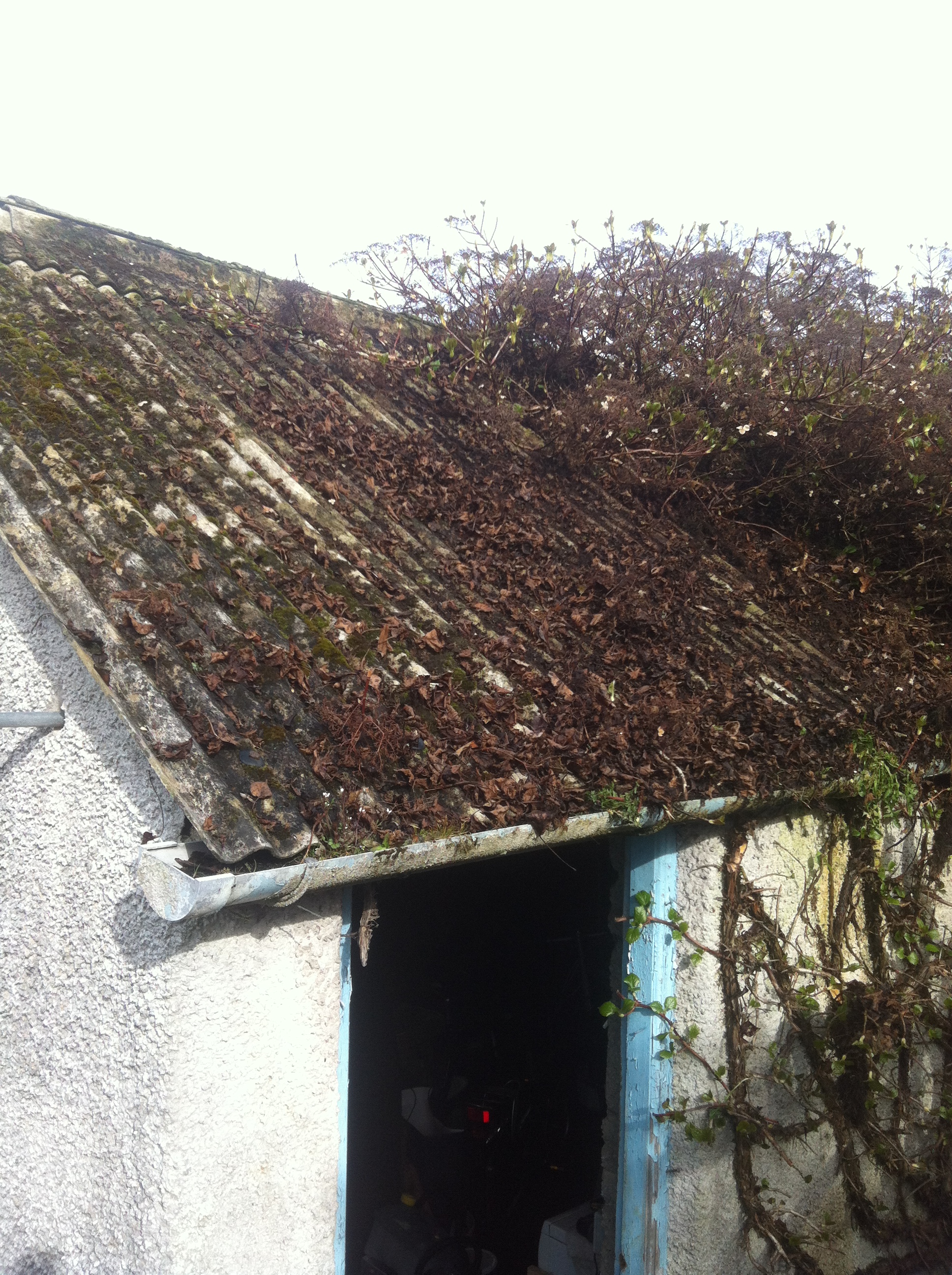 Garage Roof Asbestos Removal Cement Chrysotile Ulverston